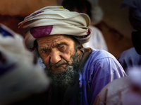 All images ©2023 Greg Newington