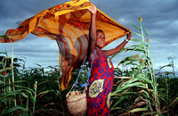 All images ©2023 Greg Newington