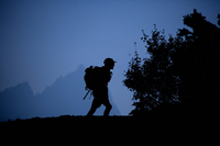 All images ©2023 Greg Newington