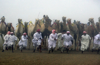 All images ©2023 Greg Newington