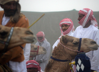 All images ©2023 Greg Newington