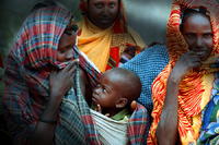 All images ©2023 Greg Newington