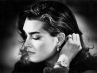 All images ©2023 Greg Newington