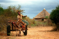 All images ©2023 Greg Newington