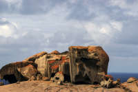 All images ©2023 Greg Newington