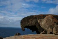 All images ©2023 Greg Newington