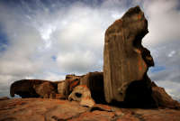 All images ©2023 Greg Newington