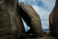 All images ©2023 Greg Newington