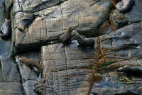 All images ©2023 Greg Newington