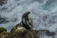 All images ©2023 Greg Newington