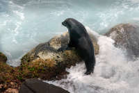 All images ©2023 Greg Newington