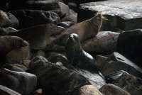 All images ©2023 Greg Newington