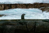 All images ©2023 Greg Newington