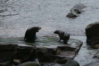 All images ©2023 Greg Newington