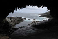 All images ©2023 Greg Newington