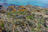 All images ©2023 Greg Newington