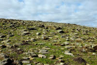 All images ©2023 Greg Newington