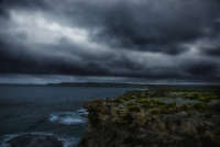 All images ©2023 Greg Newington