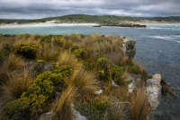 All images ©2023 Greg Newington