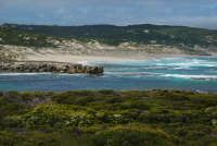 All images ©2023 Greg Newington