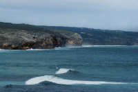 All images ©2023 Greg Newington