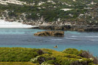 All images ©2023 Greg Newington