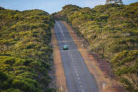 All images ©2023 Greg Newington