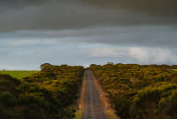 All images ©2023 Greg Newington