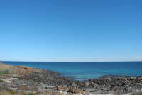 All images ©2023 Greg Newington