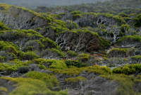 All images ©2023 Greg Newington