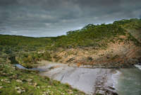 All images ©2023 Greg Newington