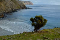 All images ©2023 Greg Newington