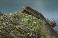 All images ©2023 Greg Newington