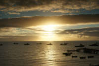 All images ©2023 Greg Newington