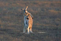 All images ©2023 Greg Newington