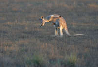 All images ©2023 Greg Newington