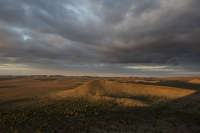 All images ©2023 Greg Newington