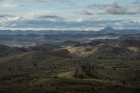 All images ©2023 Greg Newington