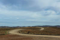 All images ©2023 Greg Newington