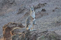 All images ©2023 Greg Newington