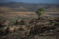 All images ©2023 Greg Newington