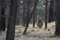 All images ©2023 Greg Newington