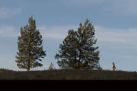 All images ©2023 Greg Newington