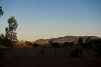 All images ©2023 Greg Newington