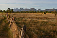 All images ©2023 Greg Newington