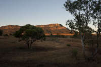 All images ©2023 Greg Newington