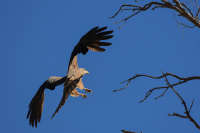 All images ©2023 Greg Newington