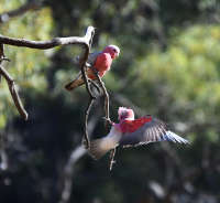 All images ©2023 Greg Newington