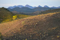 All images ©2023 Greg Newington