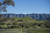 All images ©2023 Greg Newington